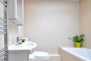 Toul Immo Habitation